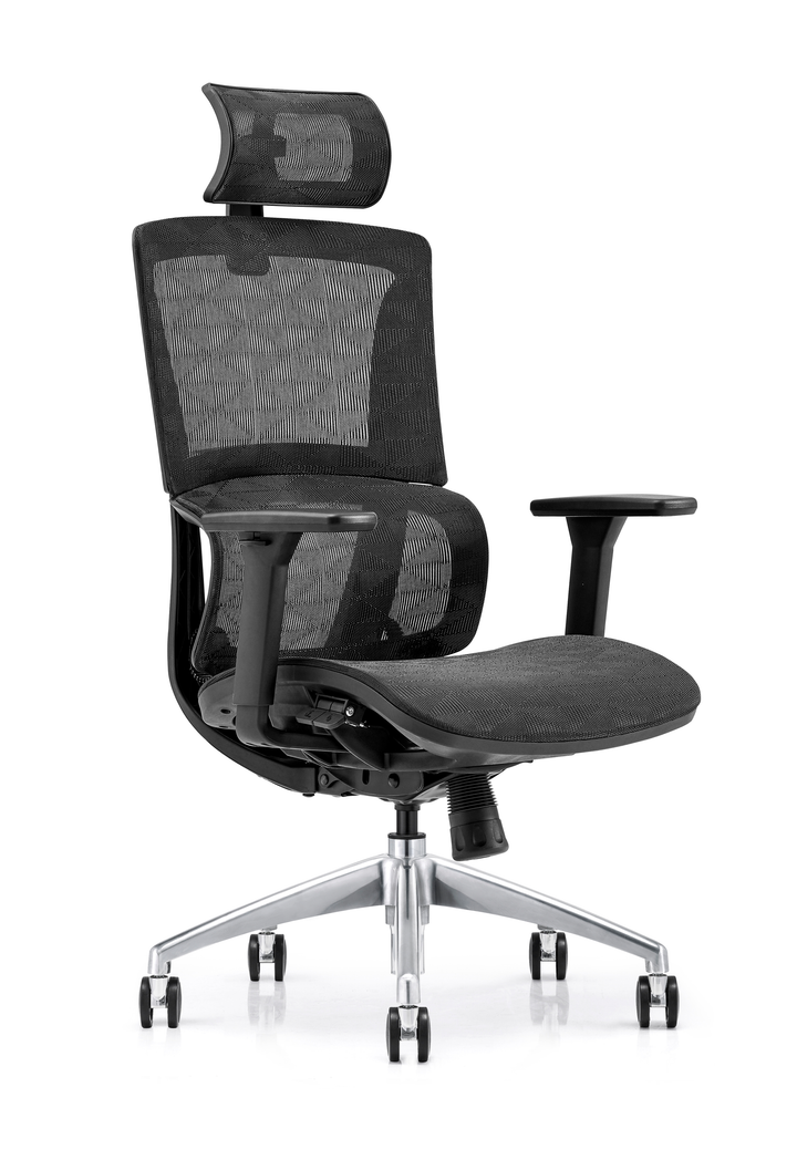 Desk One Ergo Pro