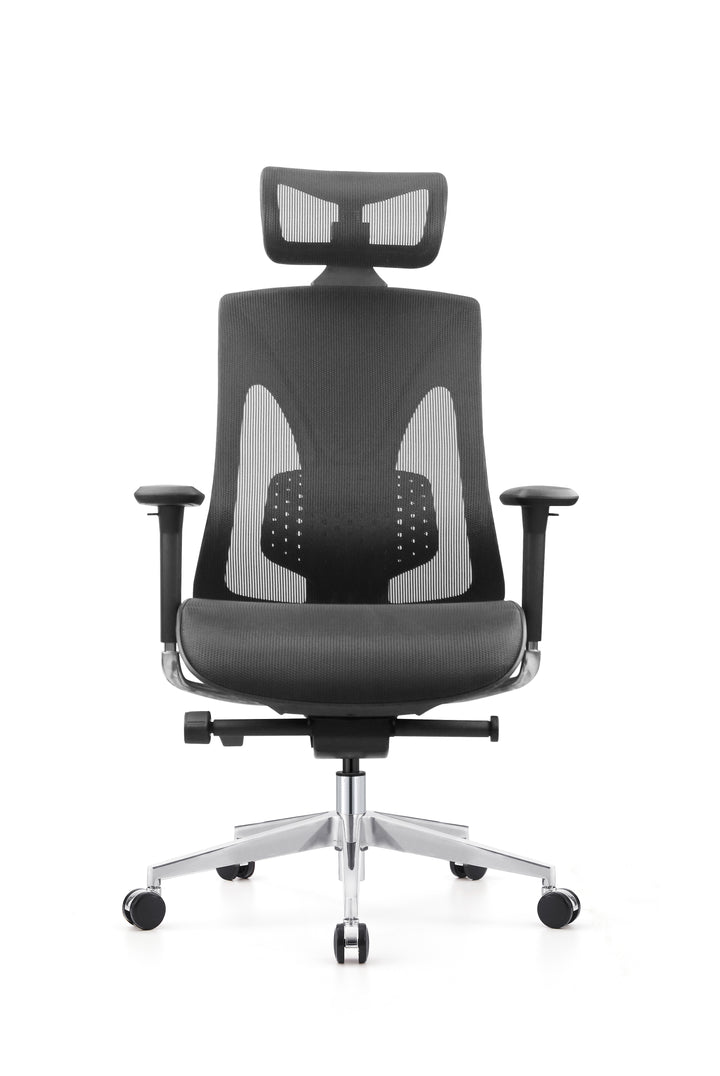 Desk One Ergo Supreme