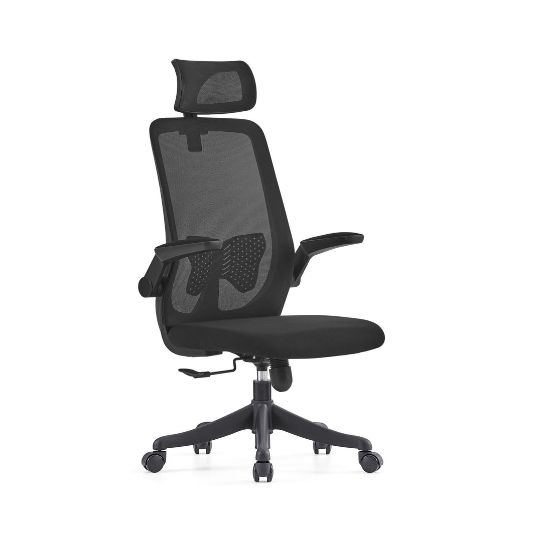 Desk One Ergo Flex v3