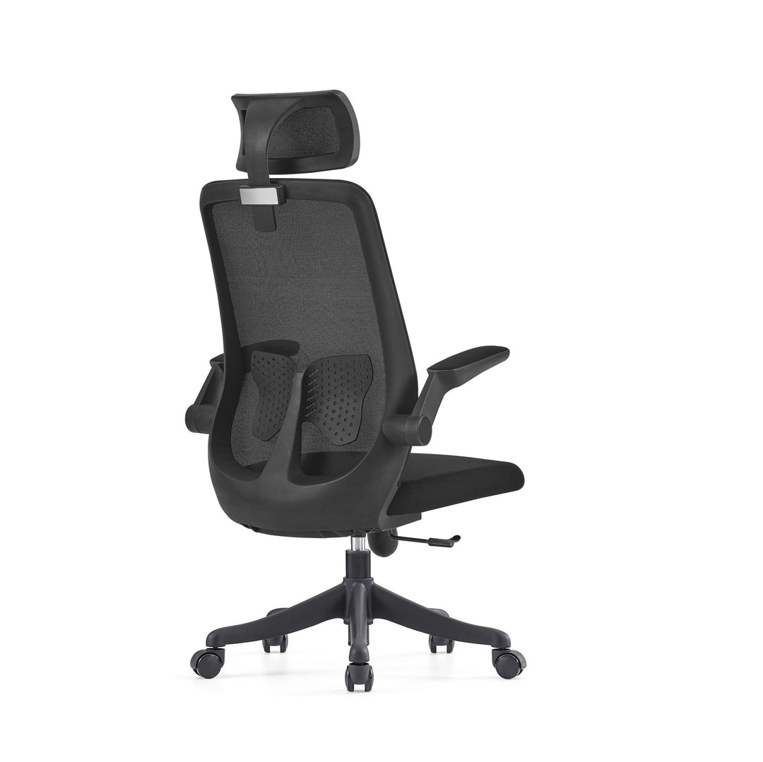 Desk One Ergo Flex v3