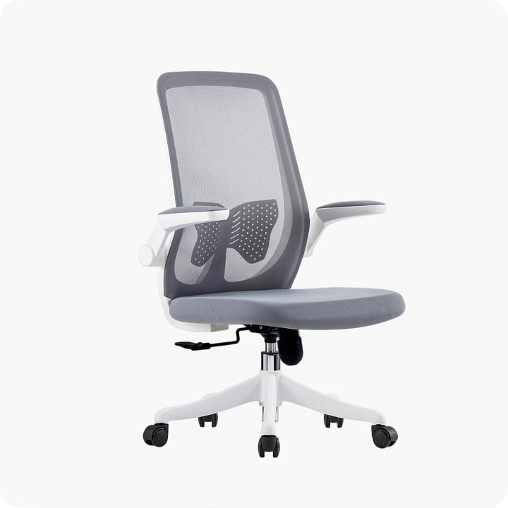 Desk One Ergo Flex v2