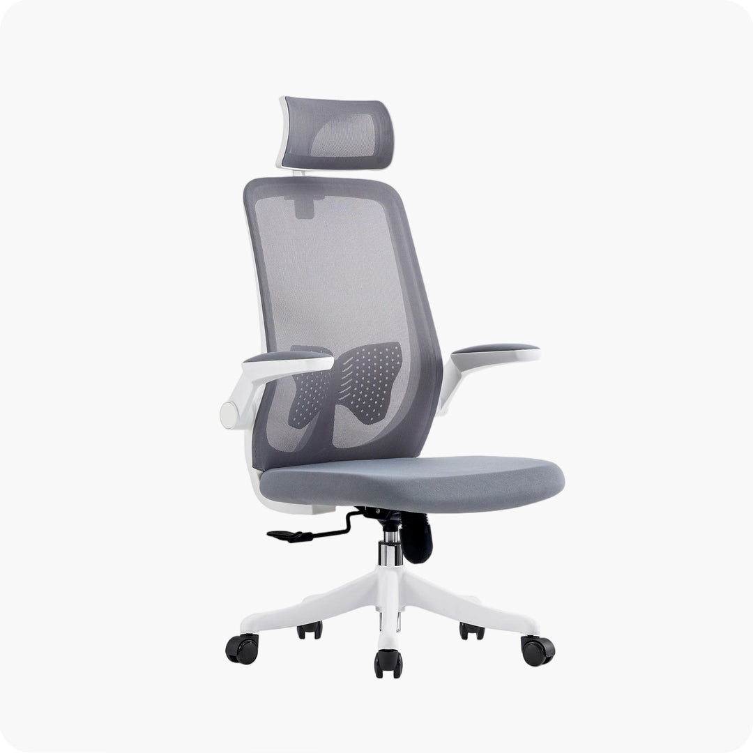 Desk One Ergo Flex v3