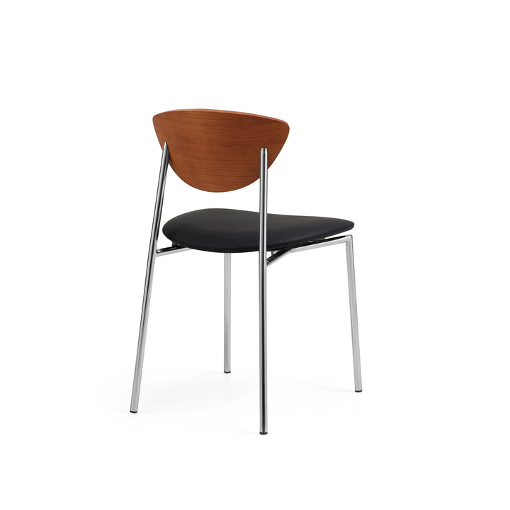 Desk One Rocco Mid-Century Curved Back Dining Chair