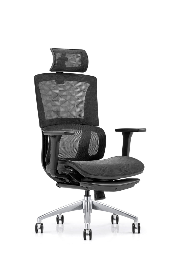 Desk One Ergo Pro