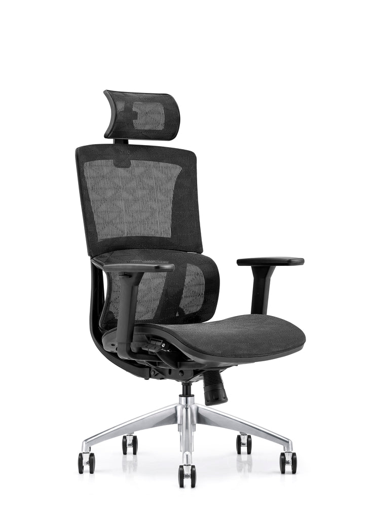 Desk One Ergo Pro