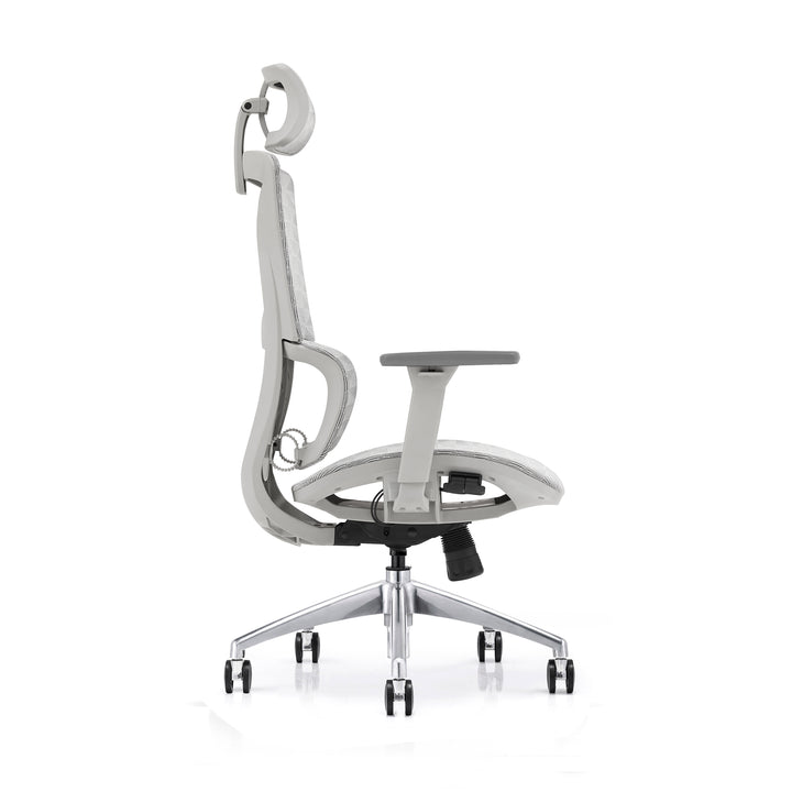 Desk One Ergo Pro