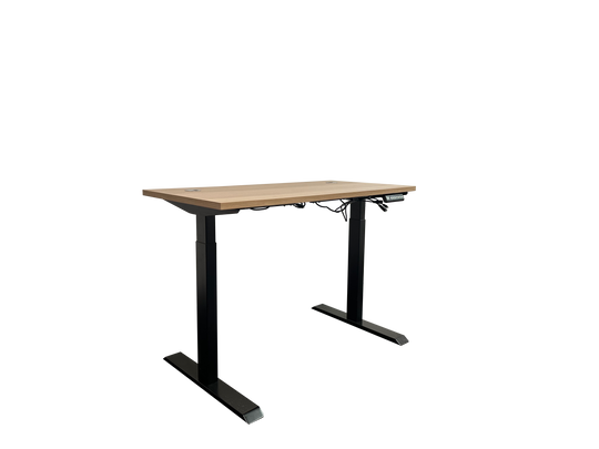 Deskone Electrical Sit-Stand Desk with 1.2m Desk Top: