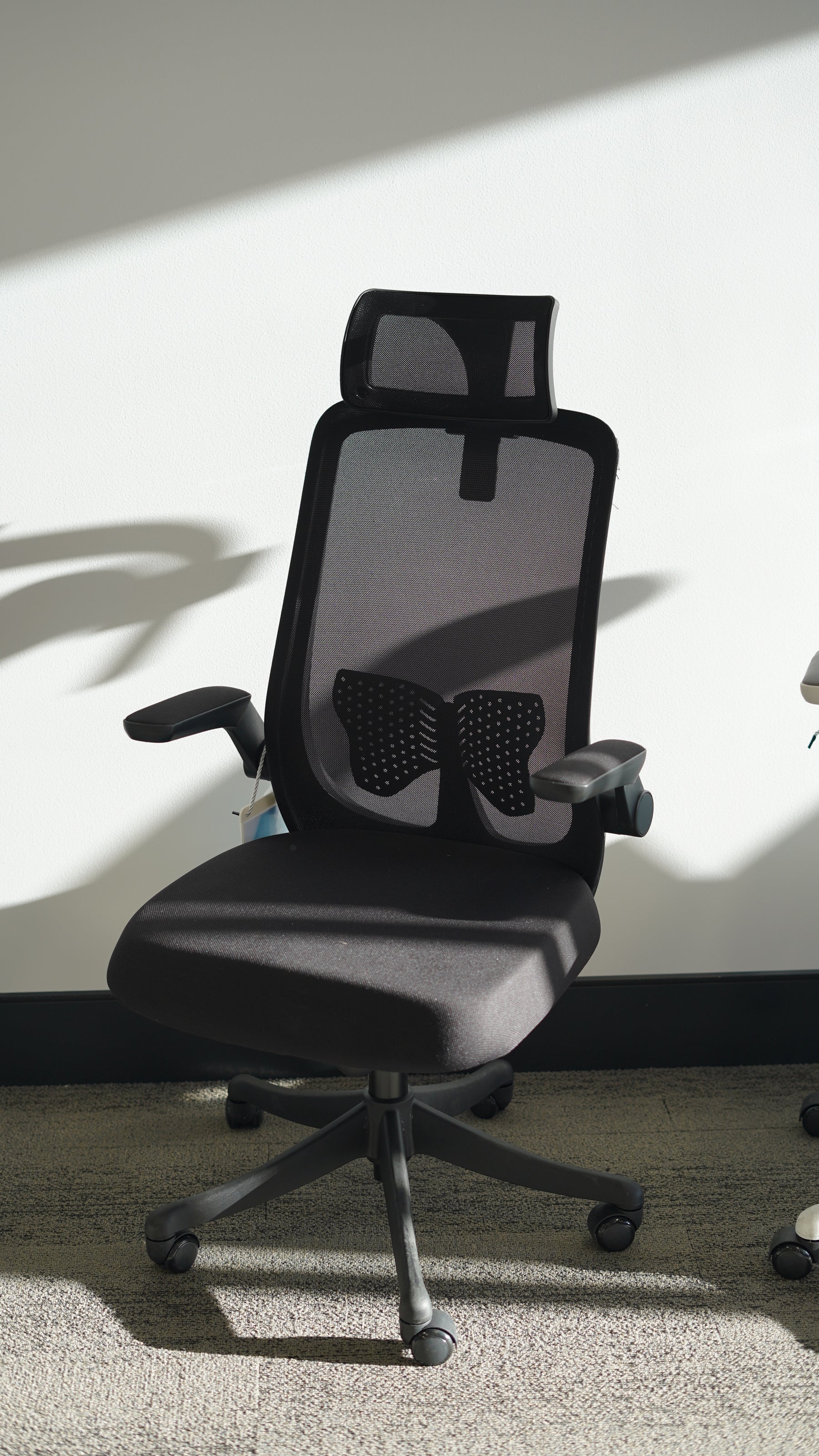 Desk One Ergo Flex v3 Office Ergonomic Chair