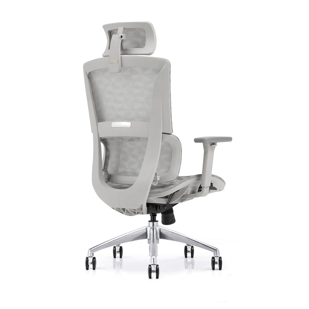 Desk One Ergo Pro