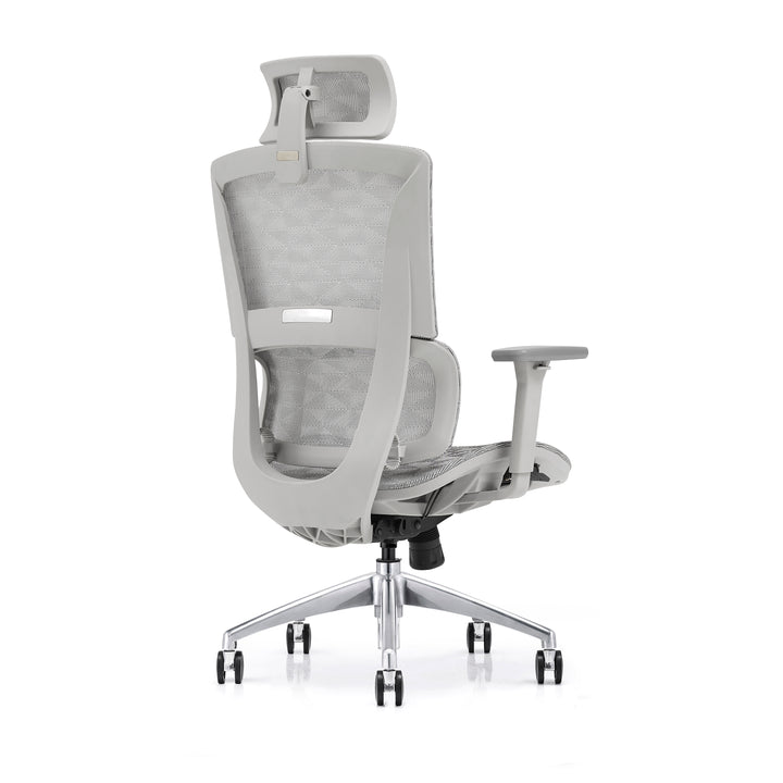 Desk One Ergo Pro