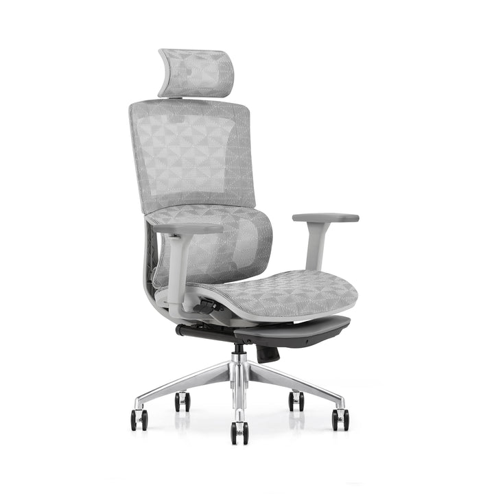 Desk One Ergo Pro
