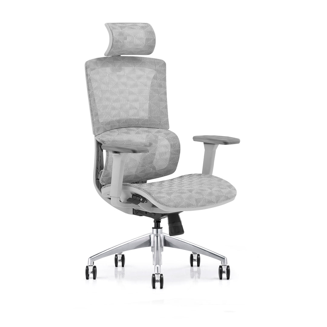 Desk One Ergo Pro